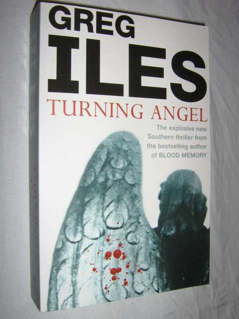 Turning Angel Image for Turning Angel
