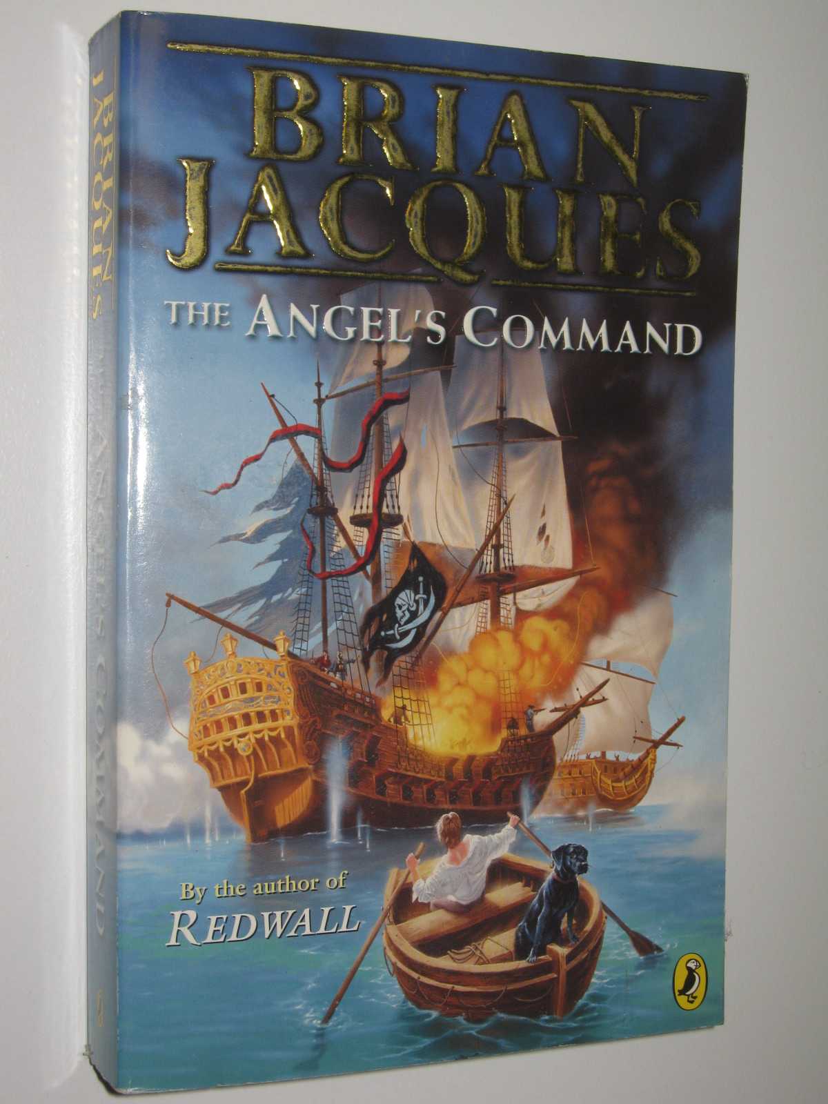 Image for The Angel's Command