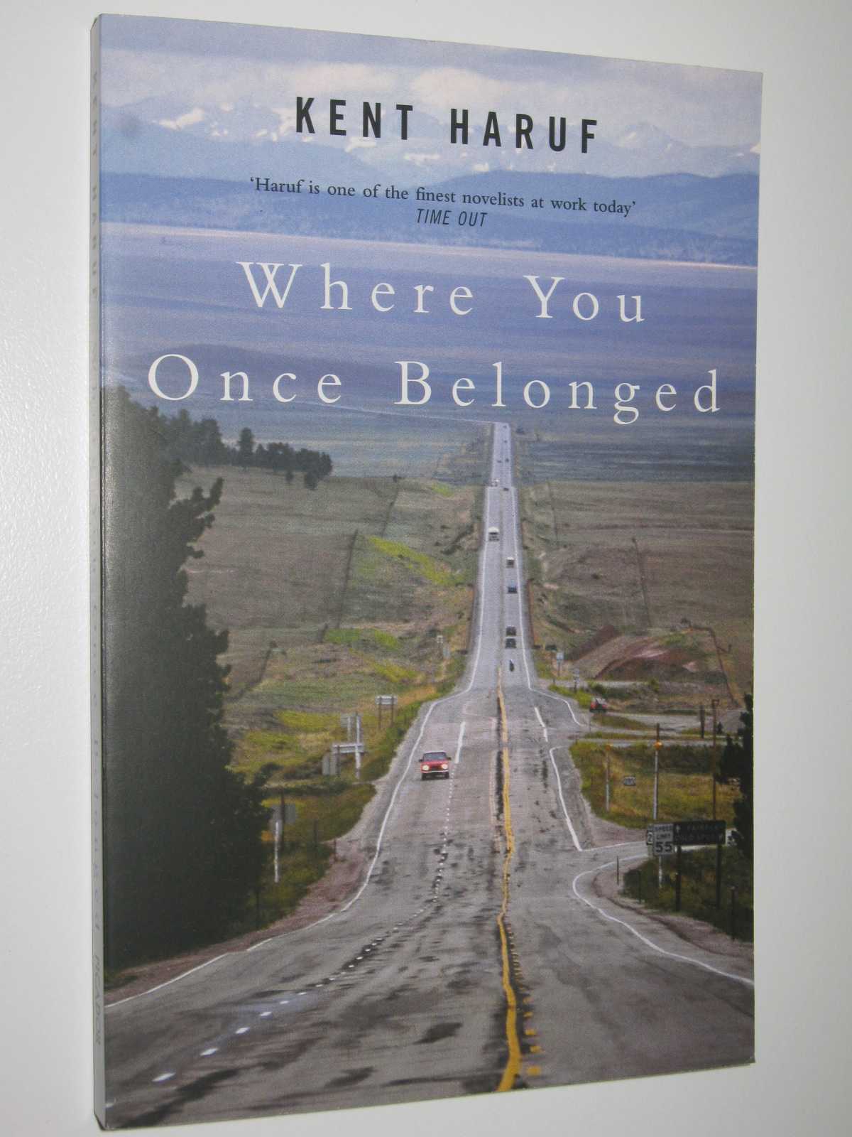 Image for Where You Once Belonged