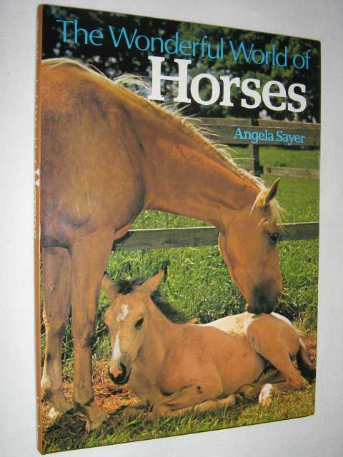 Image for The Wonderful World of Horses