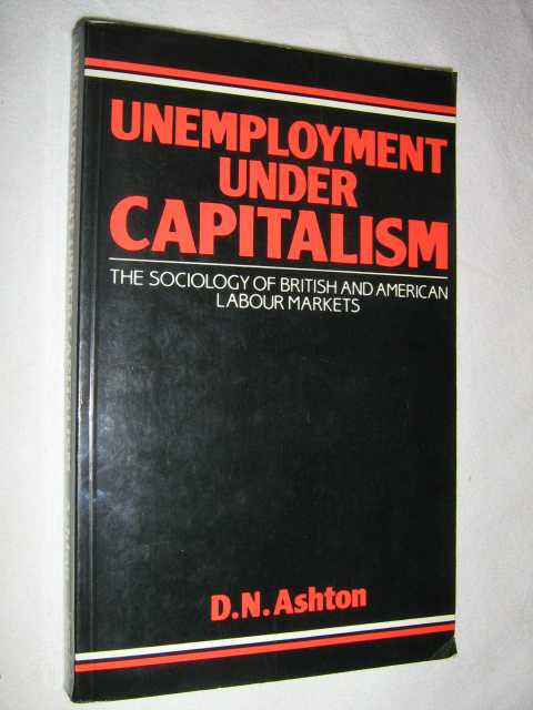 Image for Unemployment Under Capitalism : The Sociology of British and American Labour Markets