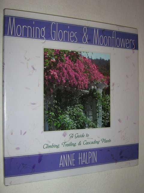 Image for Morning Glories and Moonflowers : A Guide to Climbing, Trailing, and Cascading Plants
