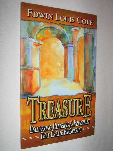 Image for Treasure : Uncovering Patterns & Principles That Create Prosperity