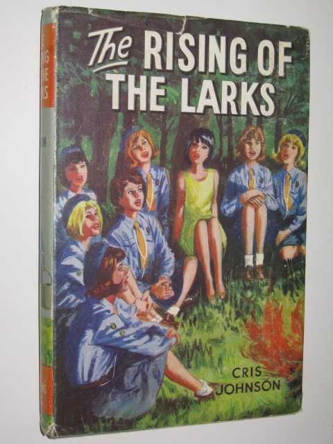 Image for The Rising of the Larks