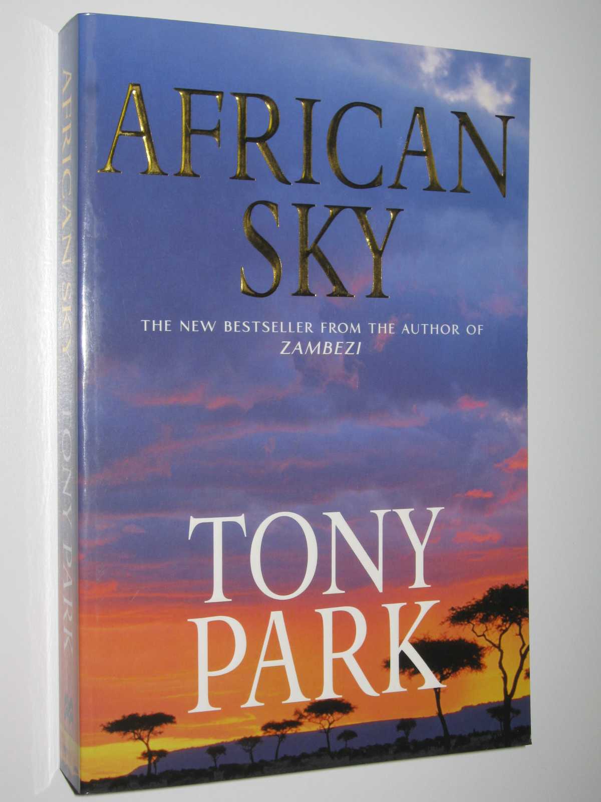 Image for African Sky