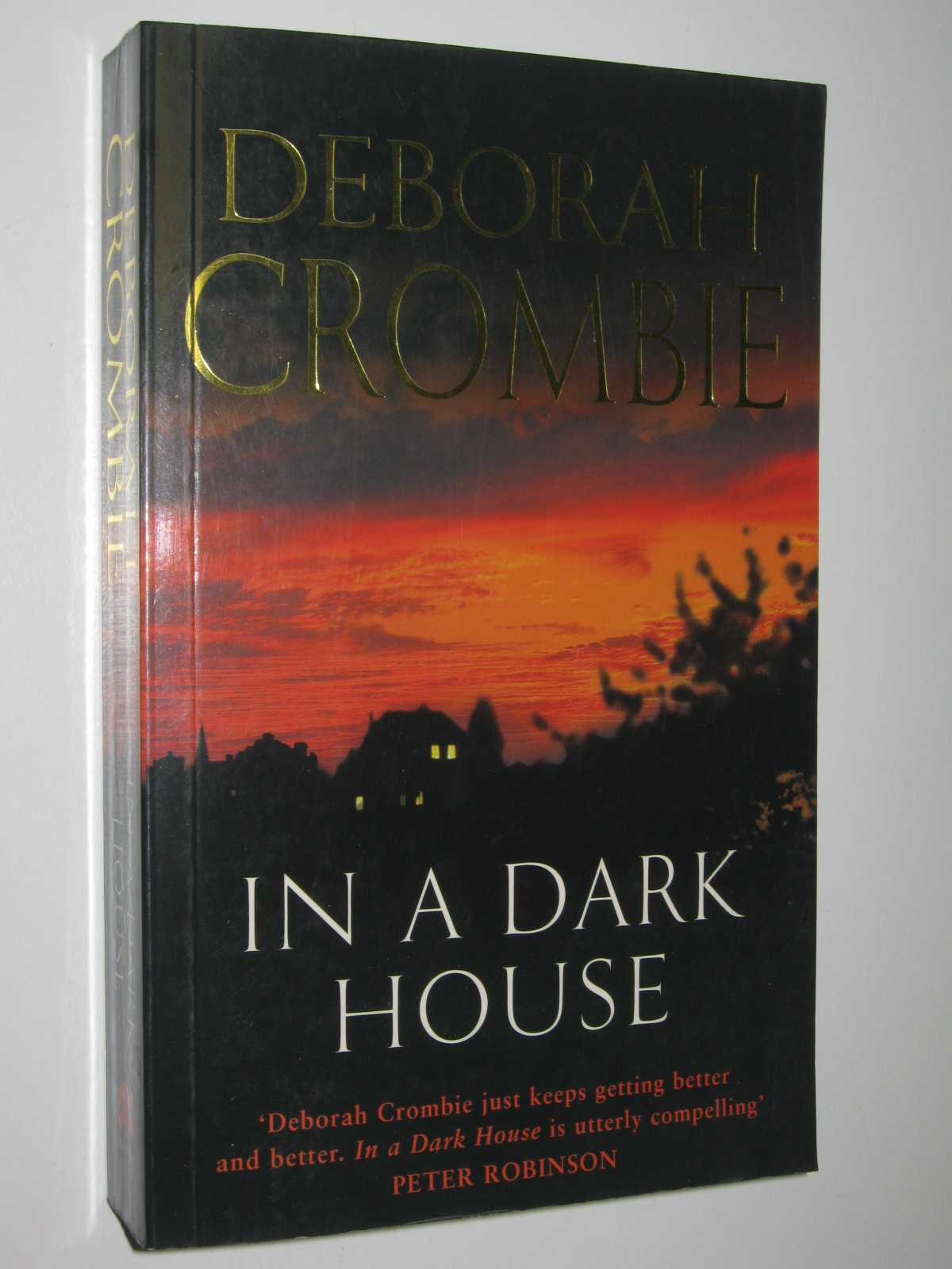 Image for In a Dark House