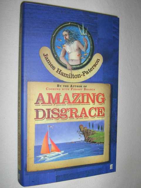 Image for Amazing Disgrace