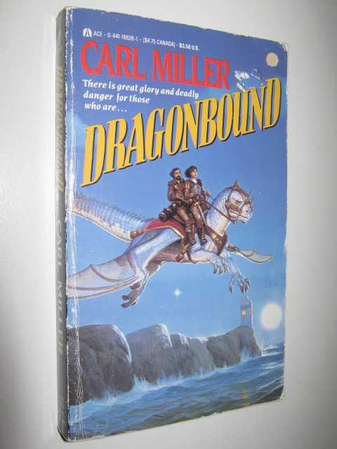 Image for Dragonbound
