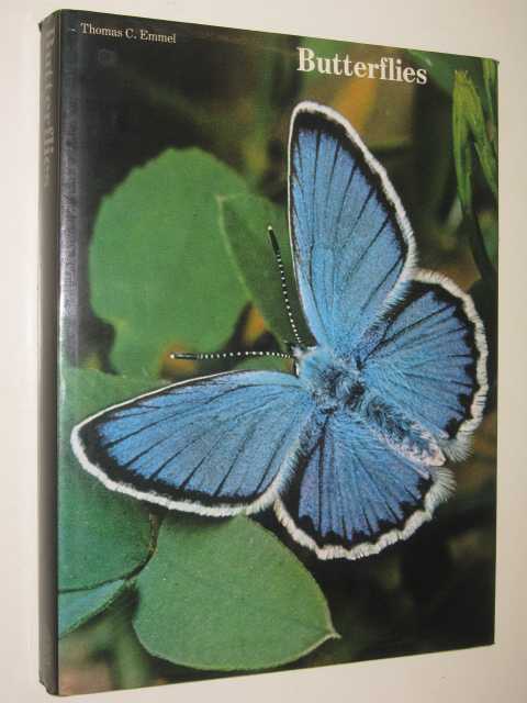 Image for Butterflies : Their World, Their Life Cycle, Their Behaviour