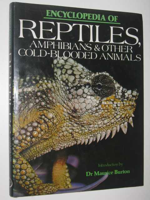 Image for Encyclopedia of Reptiles, Amphibians & Other Cold-Blooded Animals