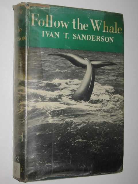 Image for Follow the Whale