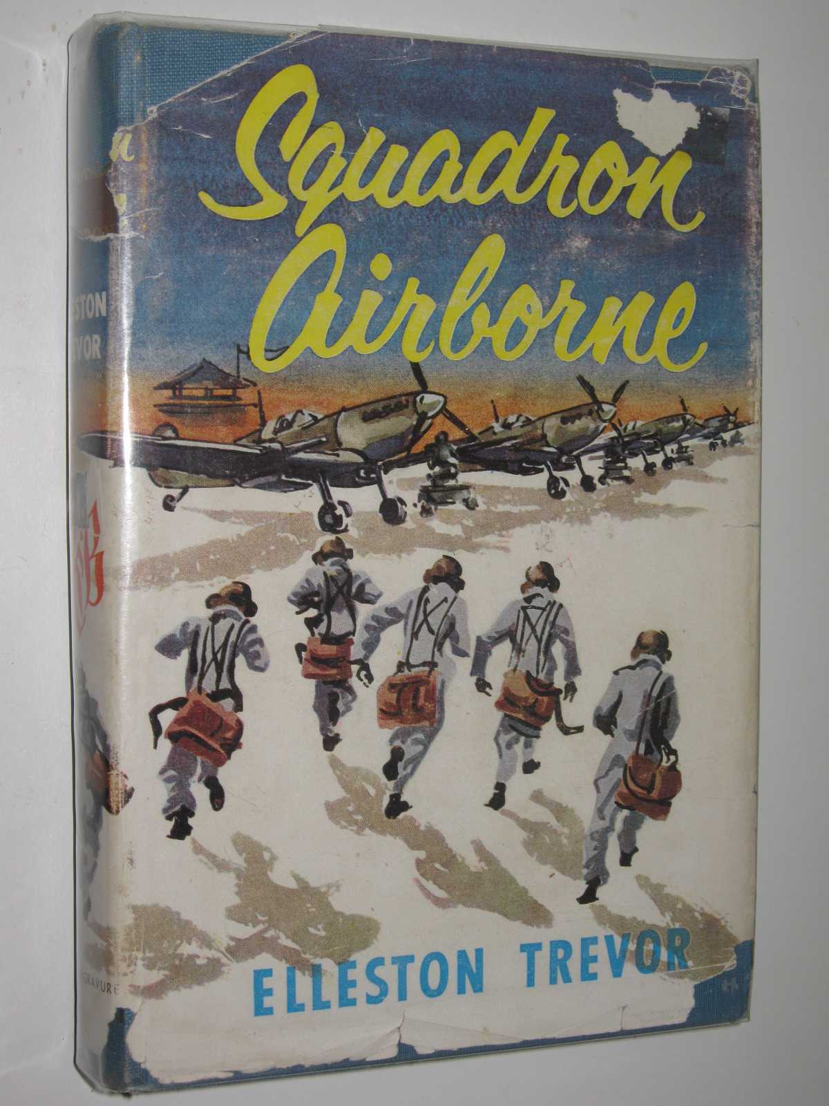 Image for Squadron Airborne