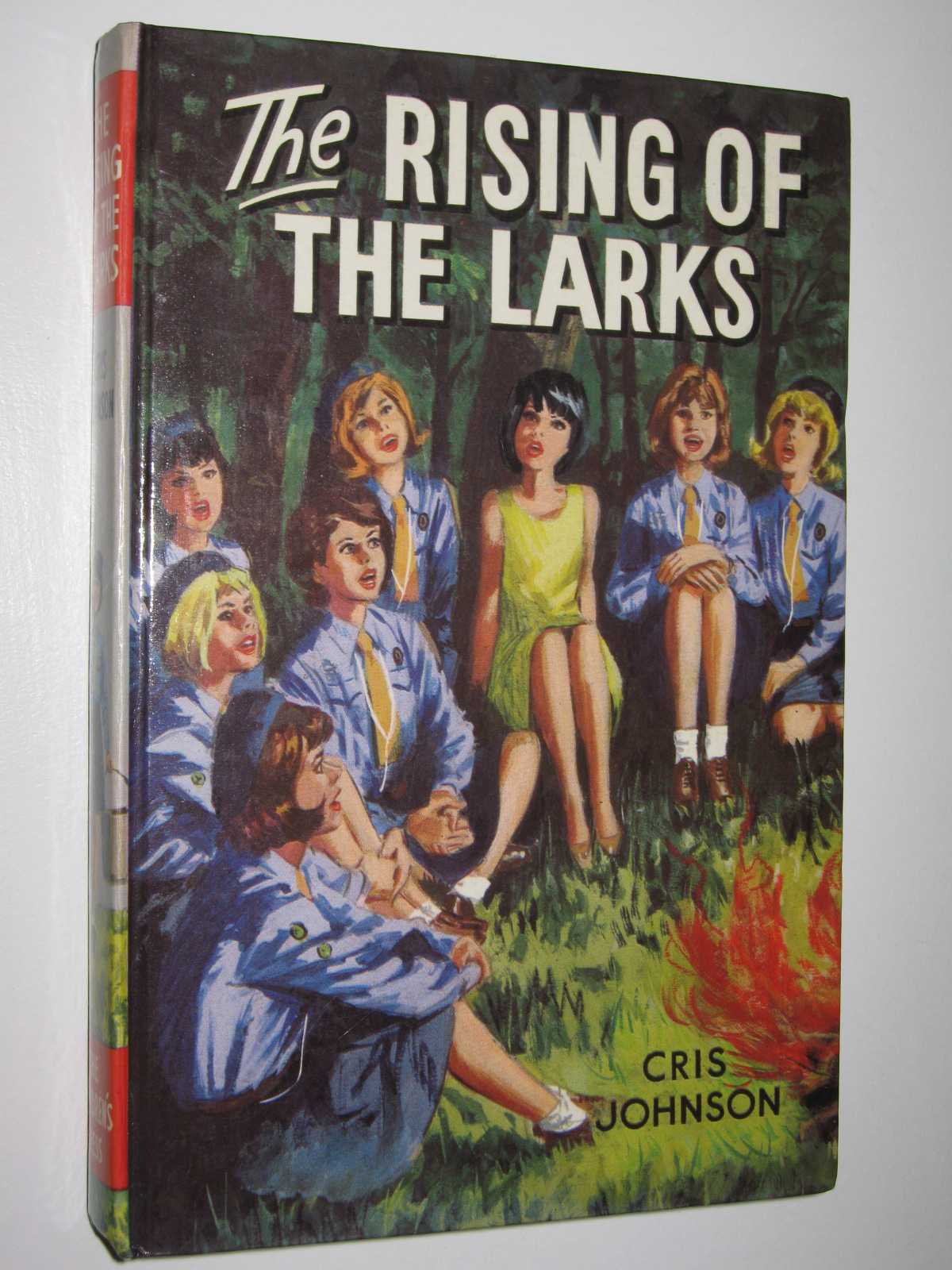 Image for The Rising of the Larks