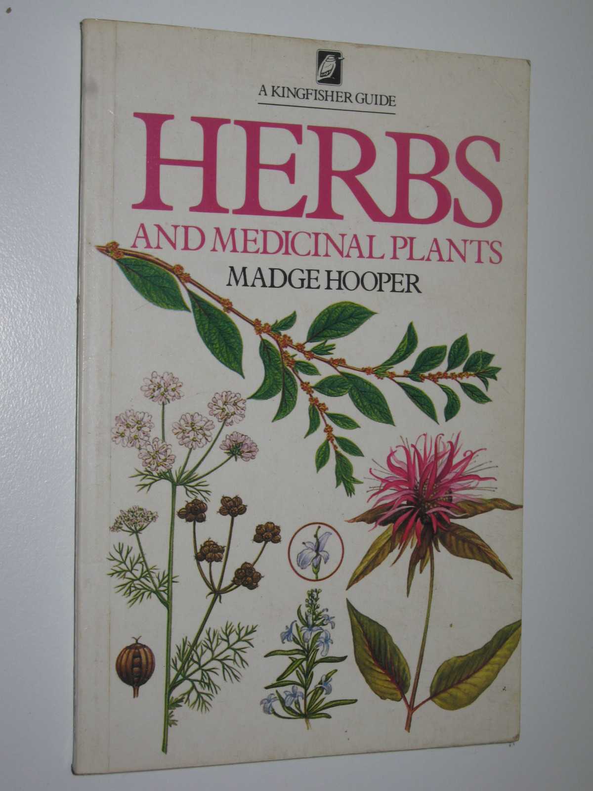 Image for Herbs and Medicinal Plants