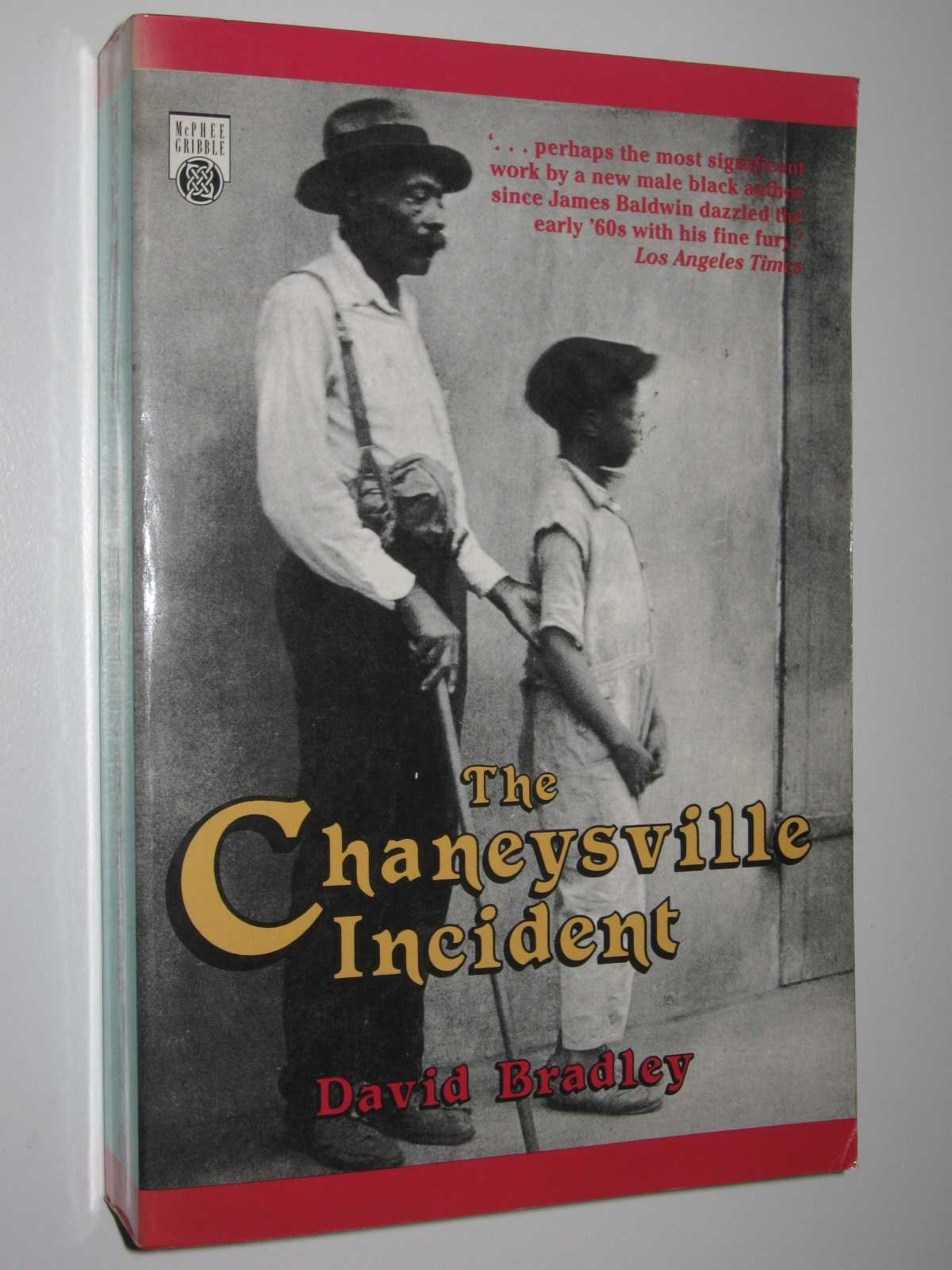 Image for The Chaneysville Incident