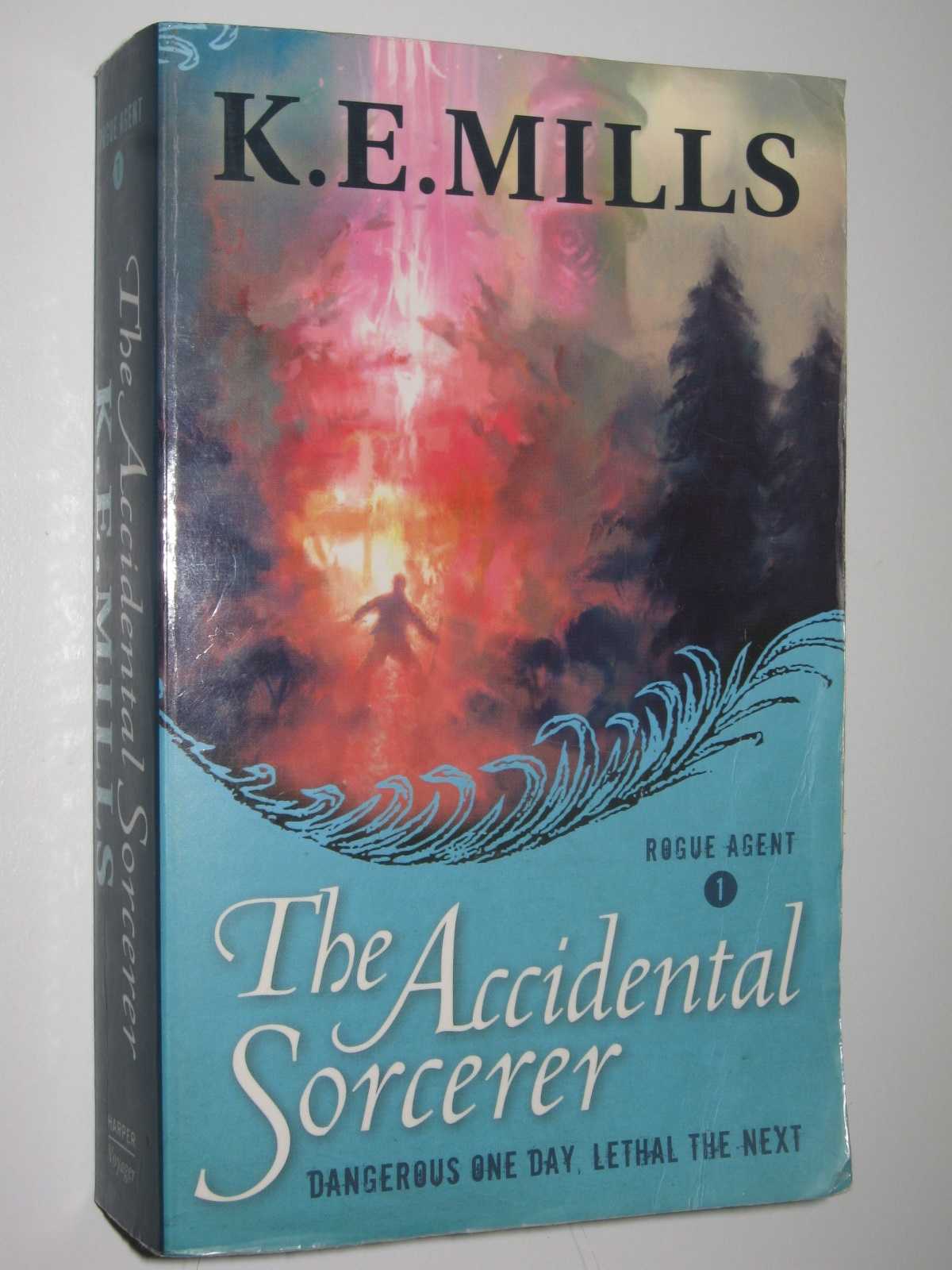 Image for The Accidental Sorcerer - Rogue Agent Series #1