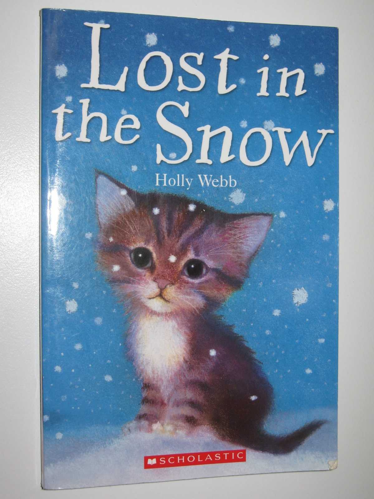 Image for Lost in the Snow