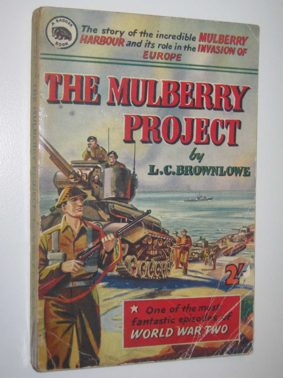 Image for The Mulberry Project