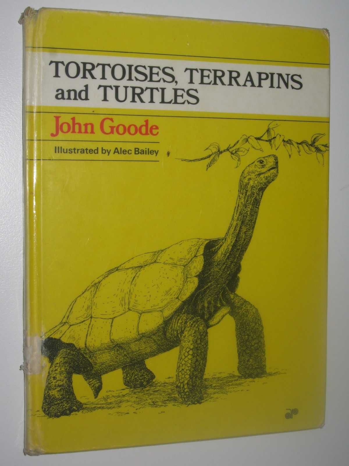 Image for Tortoises, Terrapins and Turtles