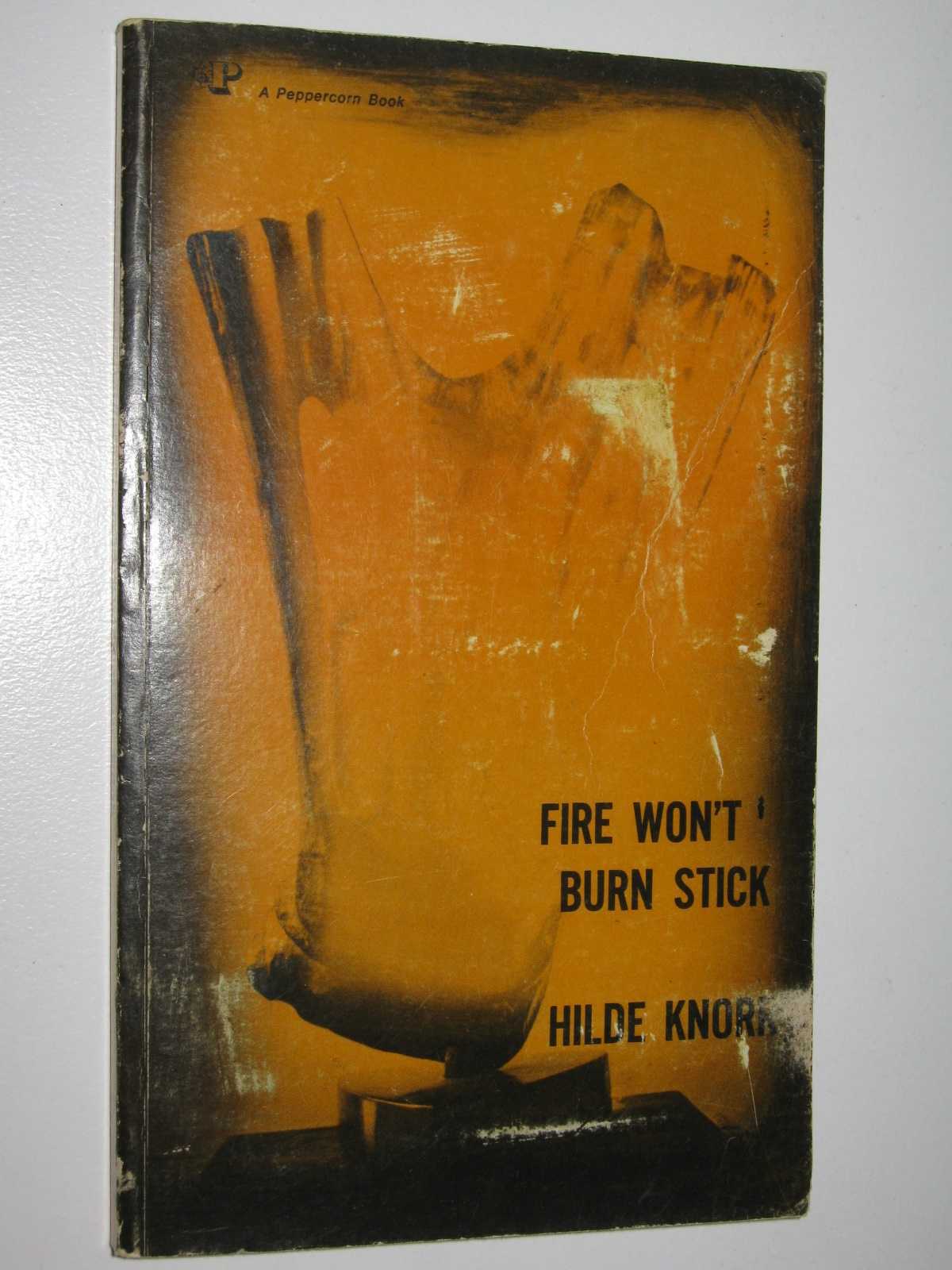 Fire Won't Burn Stick : Stories and Poems Image for Fire Won't Burn Stick : Stories and Poems