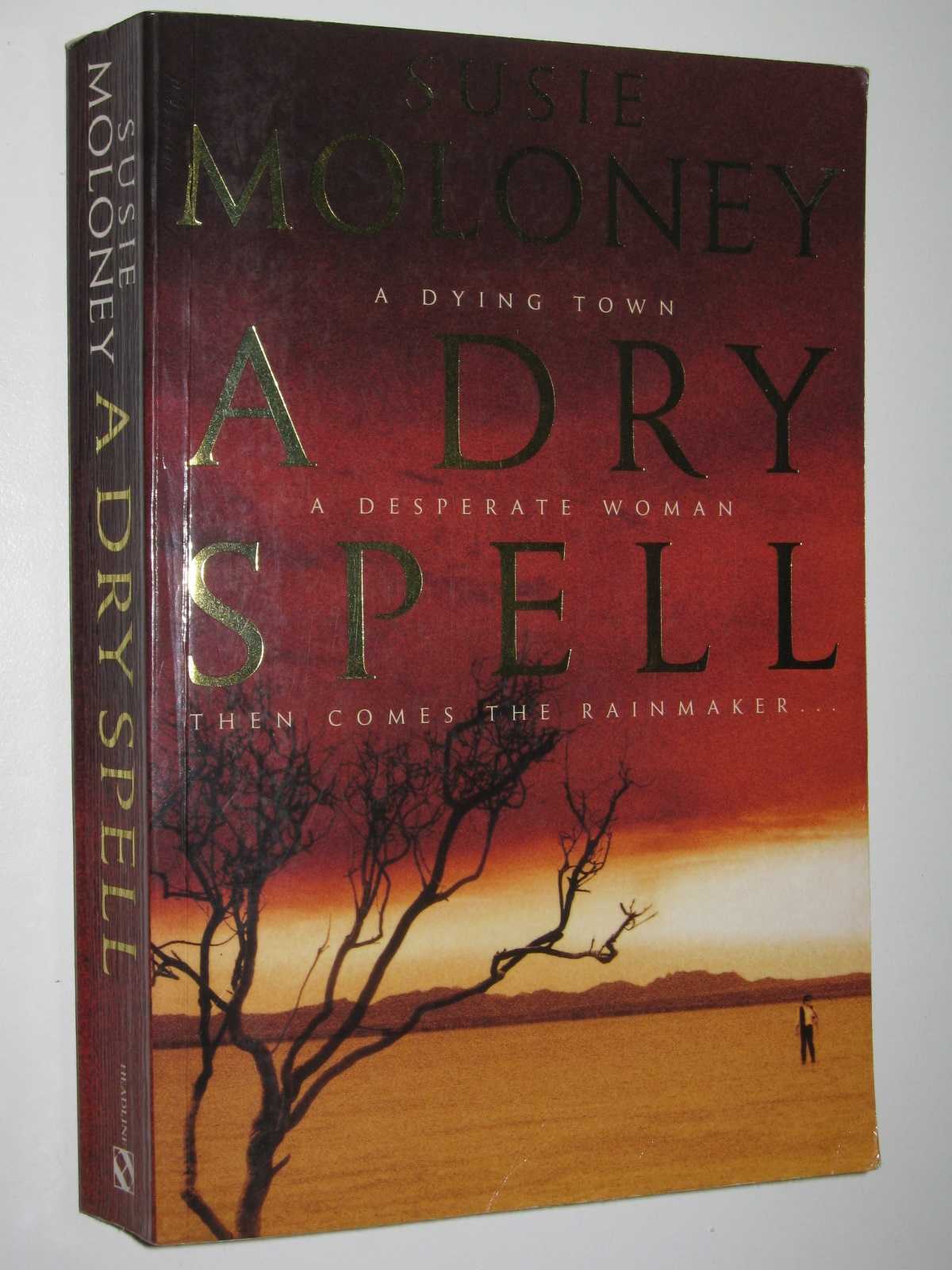 Image for A Dry Spell