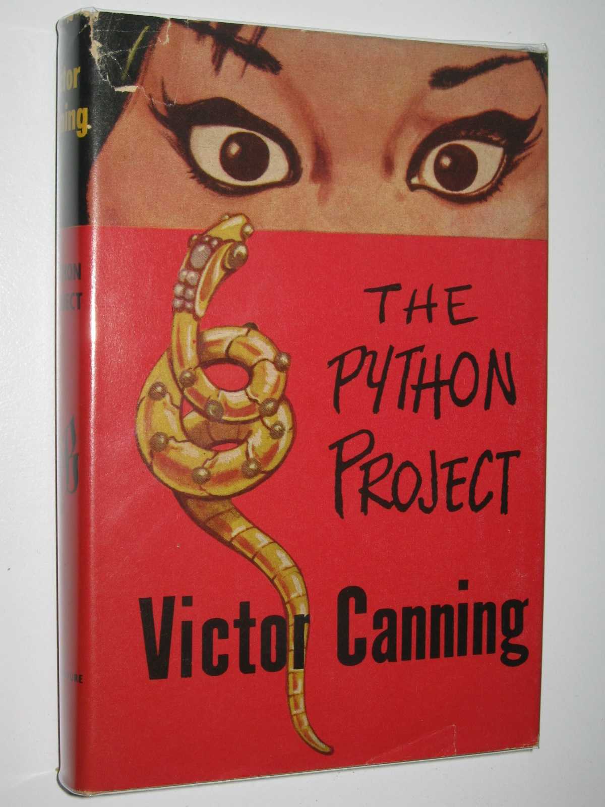 Image for The Python Project