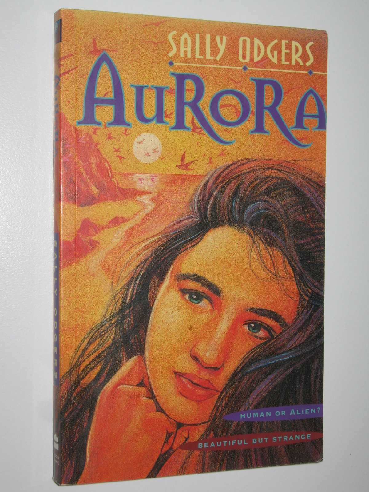 India the Moonstone Fairy Rainbow Magic Series 22