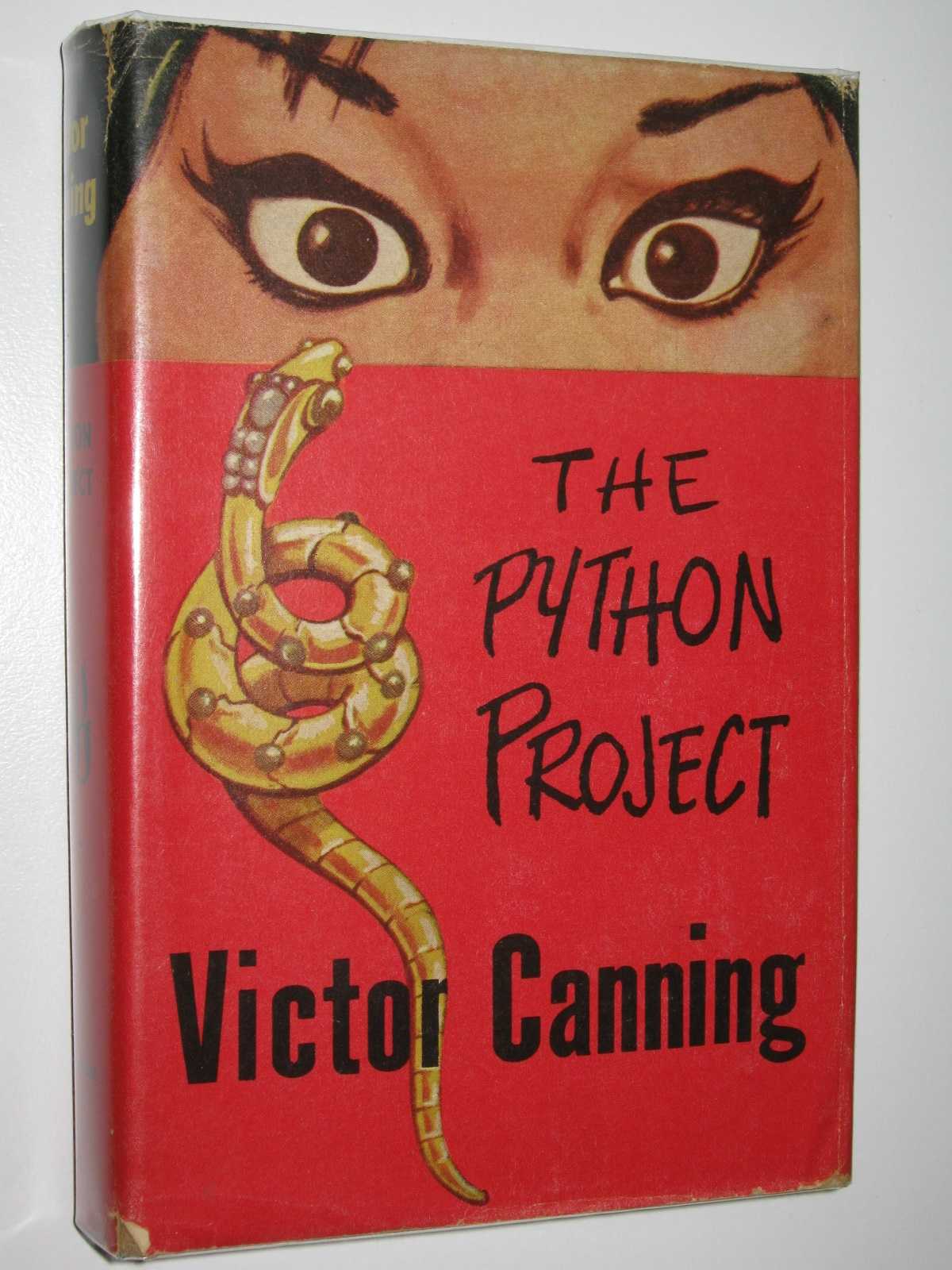 Image for The Python Project