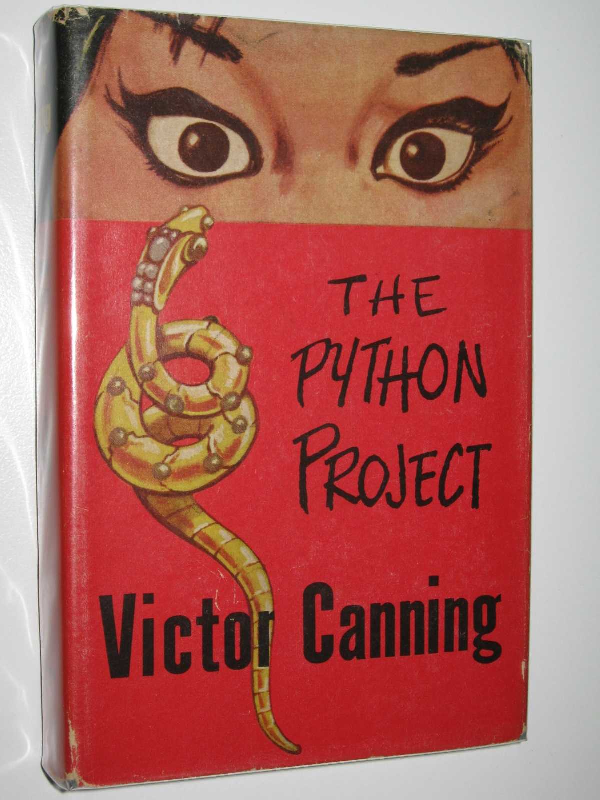 Image for The Python Project