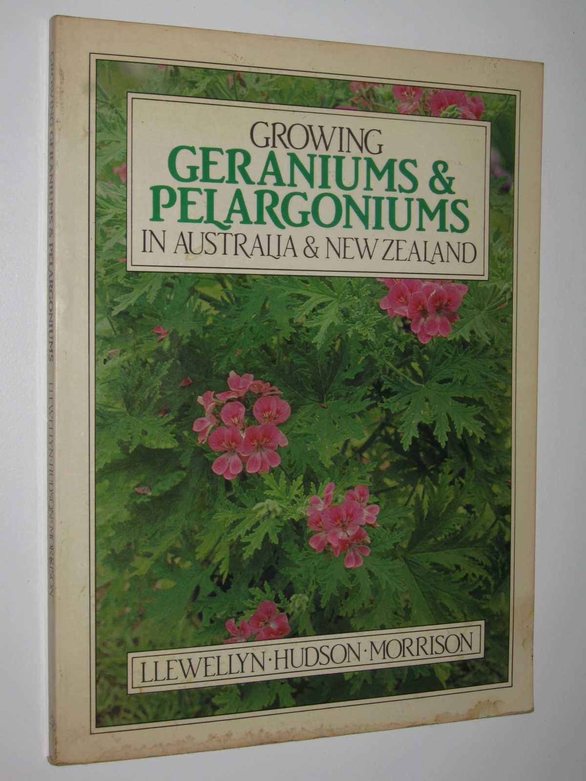 Image for Growing Geraniums and Pelargoniums
