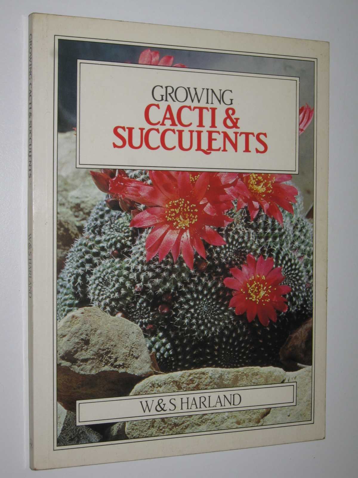 Growing Cacti and Succulents Image for Growing Cacti and Succulents