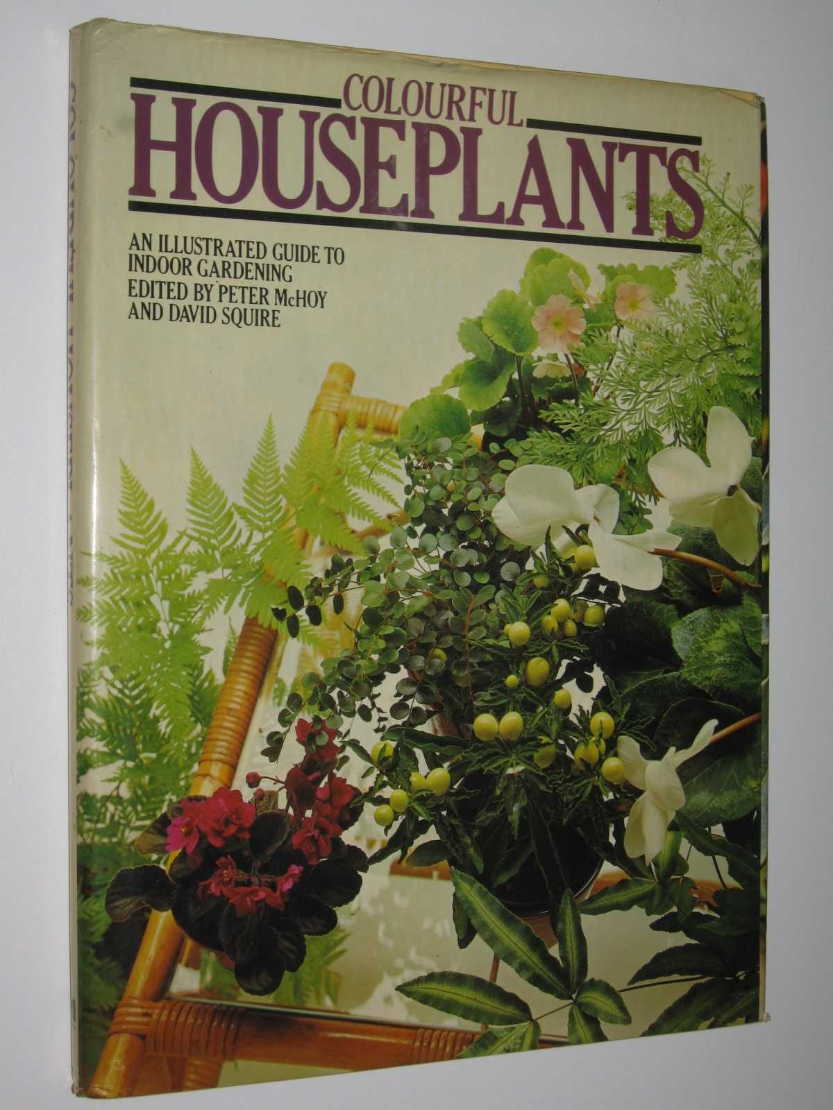 Colourful Houseplants : An Illustrated Guide to Indoor Gardening Image for Colourful Houseplants : An Illustrated Guide to Indoor Gardening
